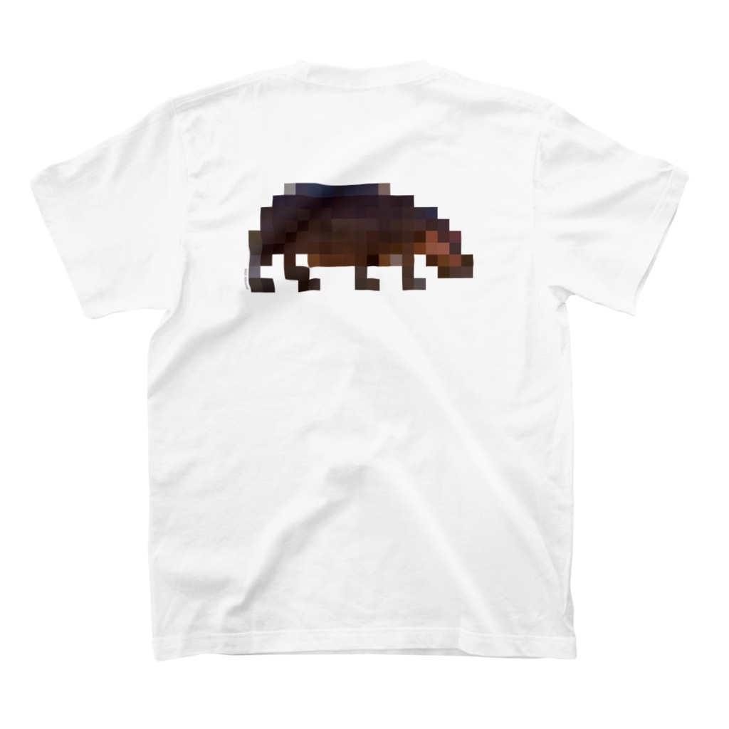 Tシャツ（カバ）
