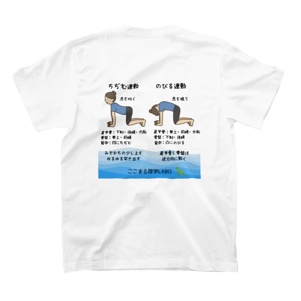 cocomaruPTLABOのちぢむれんどう・のびるれんどう／ここまる理学LABO スタンダードTシャツの裏面