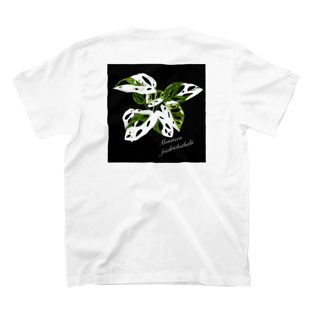 Art na plantsのマドカズラ　斑入り　ブラック スタンダードTシャツの裏面