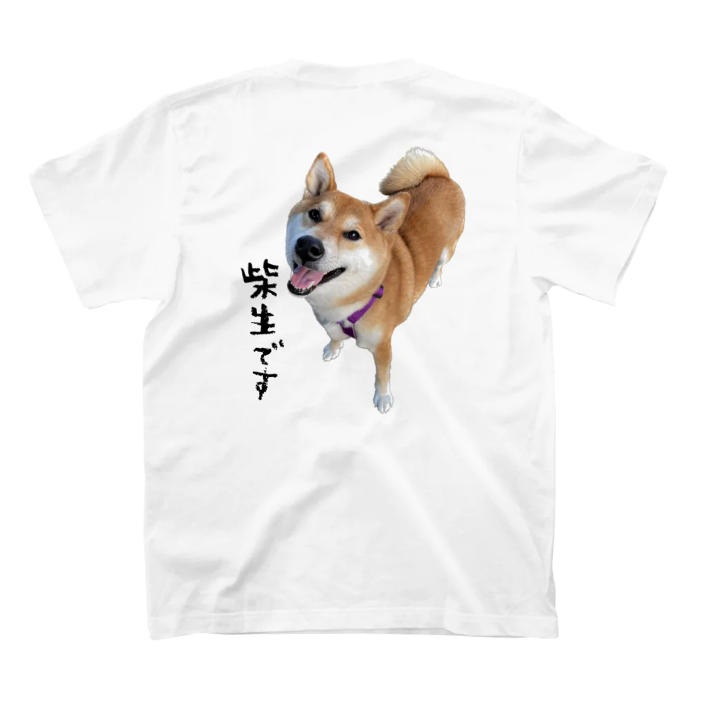 SHIBAOOOOOの柴生です スタンダードTシャツの裏面