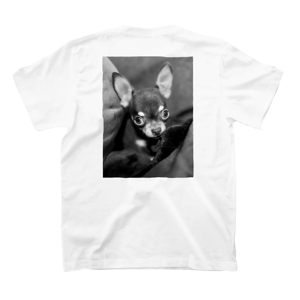 WOMWOMSHINのスーパー小型犬のアムくん スタンダードTシャツの裏面