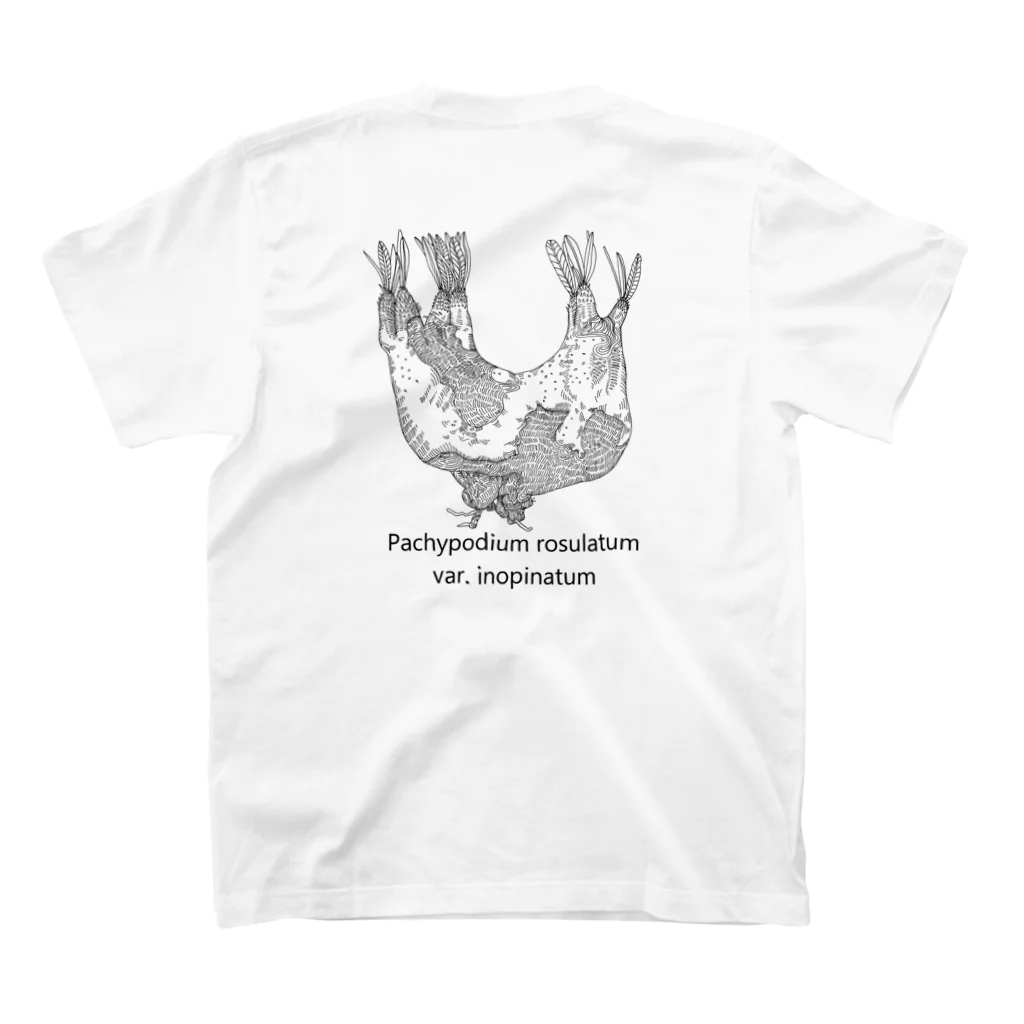 kassai_plantsのパキポディウム　恵比寿笑いとイノピナツム スタンダードTシャツの裏面