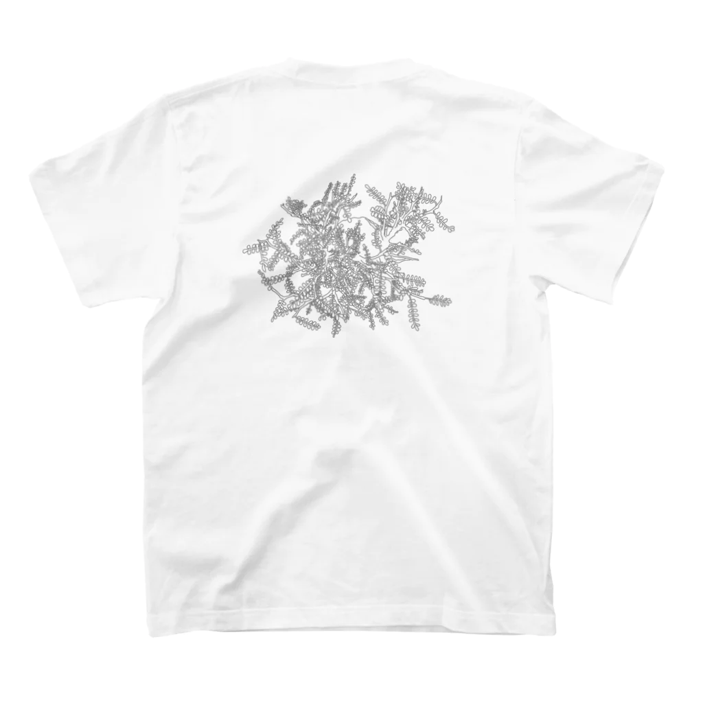 PHYTOGIFTのオペルクリカリア パキプス / 塊根植物 スタンダードTシャツの裏面