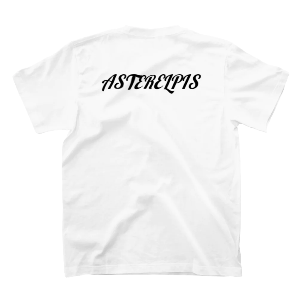 ASTERELPISのASTERELPISオリジナルTシャツLV1 スタンダードTシャツの裏面