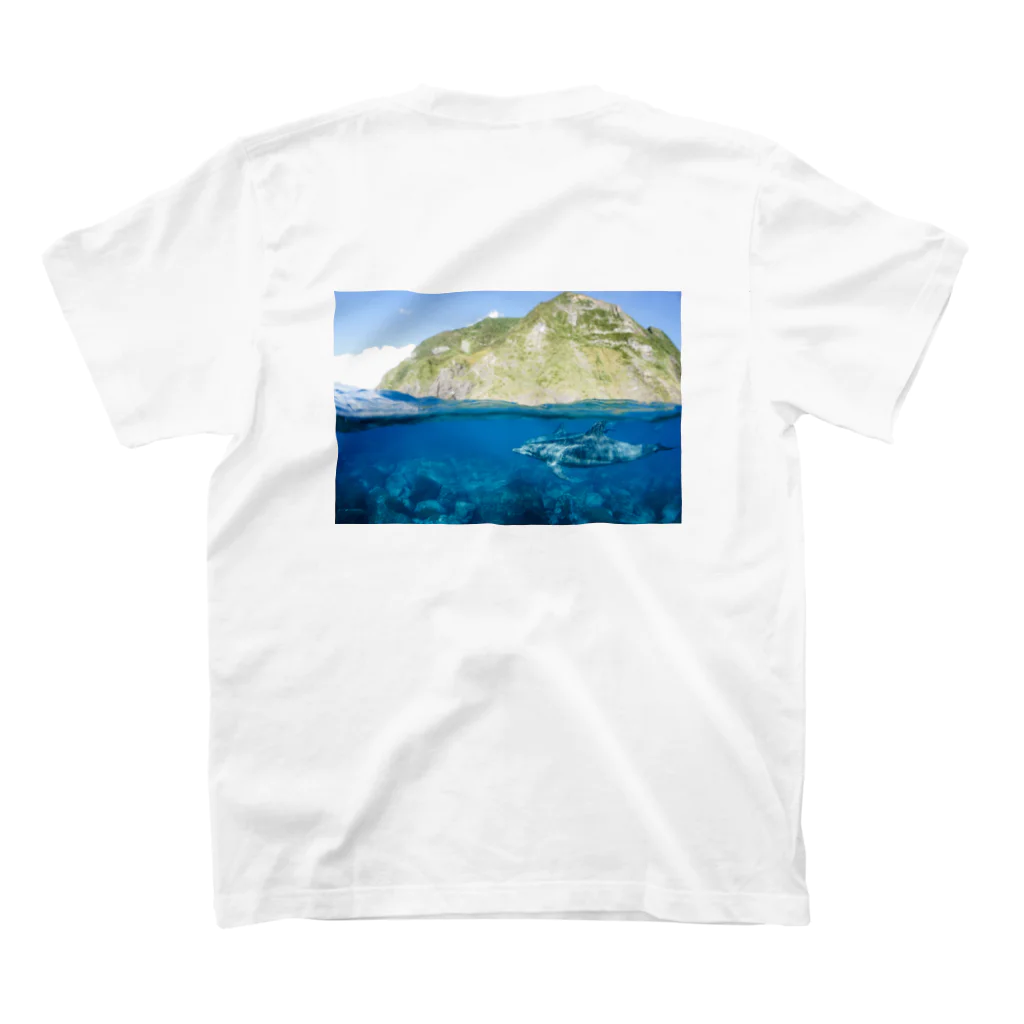 Island escape. のIsland dolphin. スタンダードTシャツの裏面