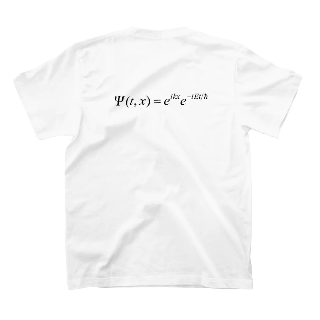 FCLBRの1次元の時間を含まないシュレディンガー方程式 Regular Fit T-Shirtの裏面