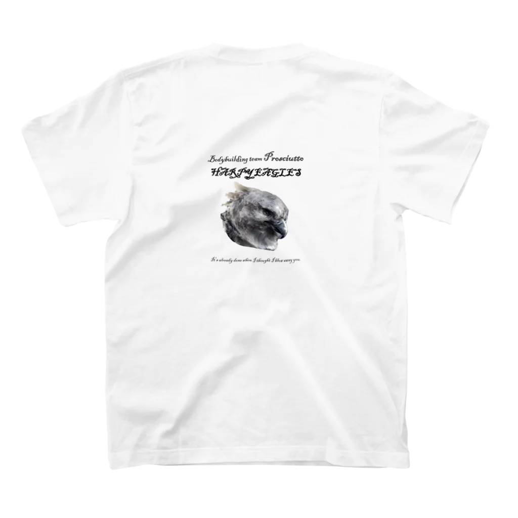 HARPYEAGLESのハーピーイーグルス01 Regular Fit T-Shirtの裏面