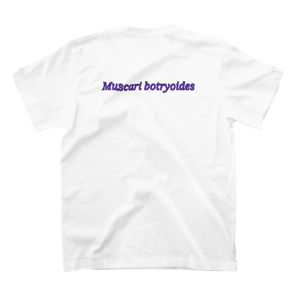 でおきしりぼ子の実験室のMuscari botryoides(1:1) スタンダードTシャツの裏面