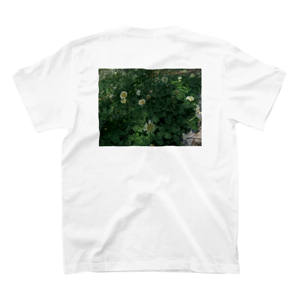 植物観察の身近な植物観察 スタンダードTシャツの裏面