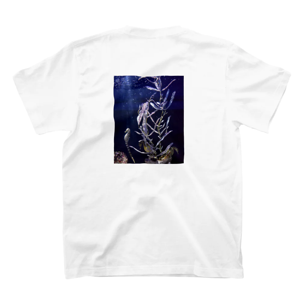 Nocte pluvi æ lunamのseahorses スタンダードTシャツの裏面