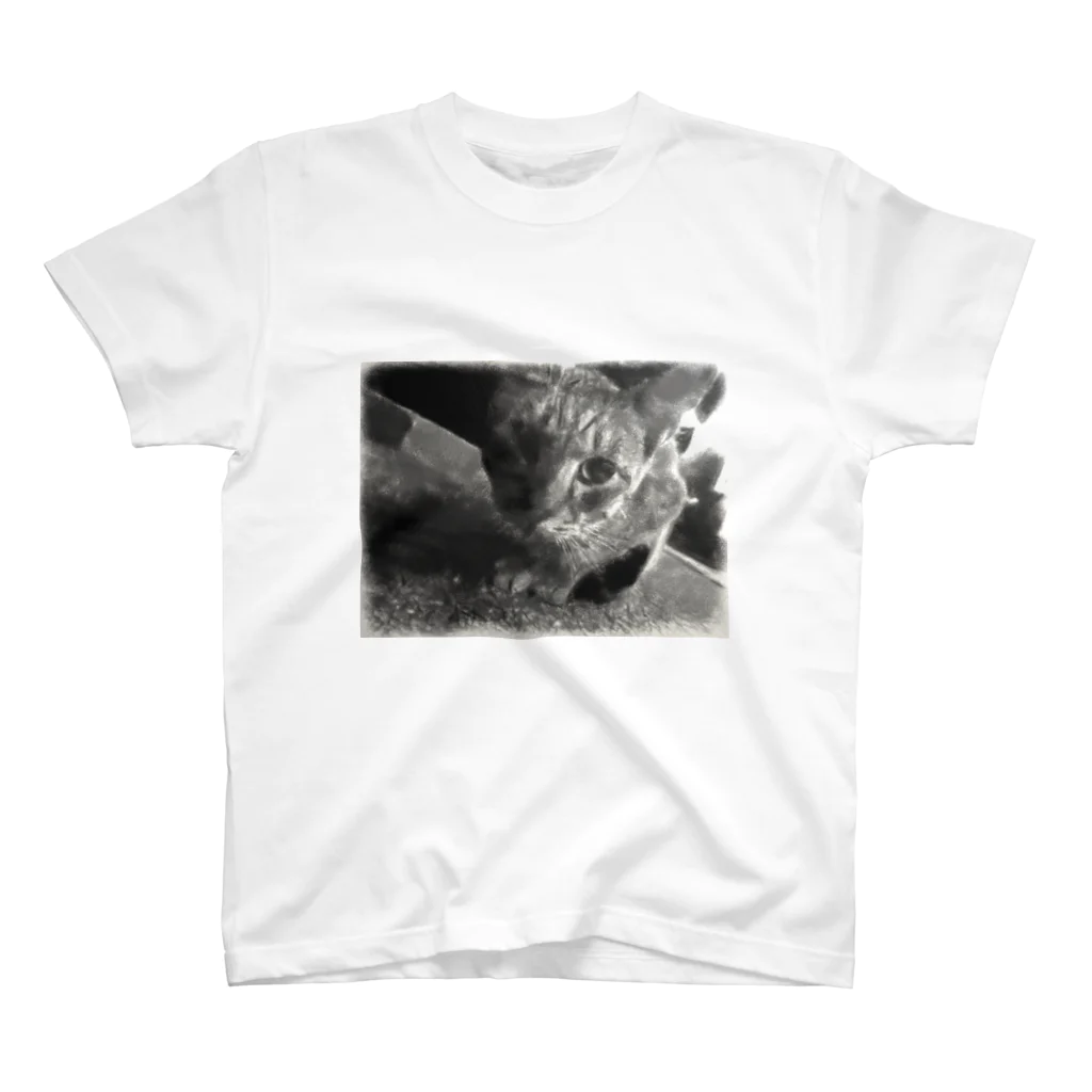 ハオルチアの猫ちゃん Regular Fit T-Shirt