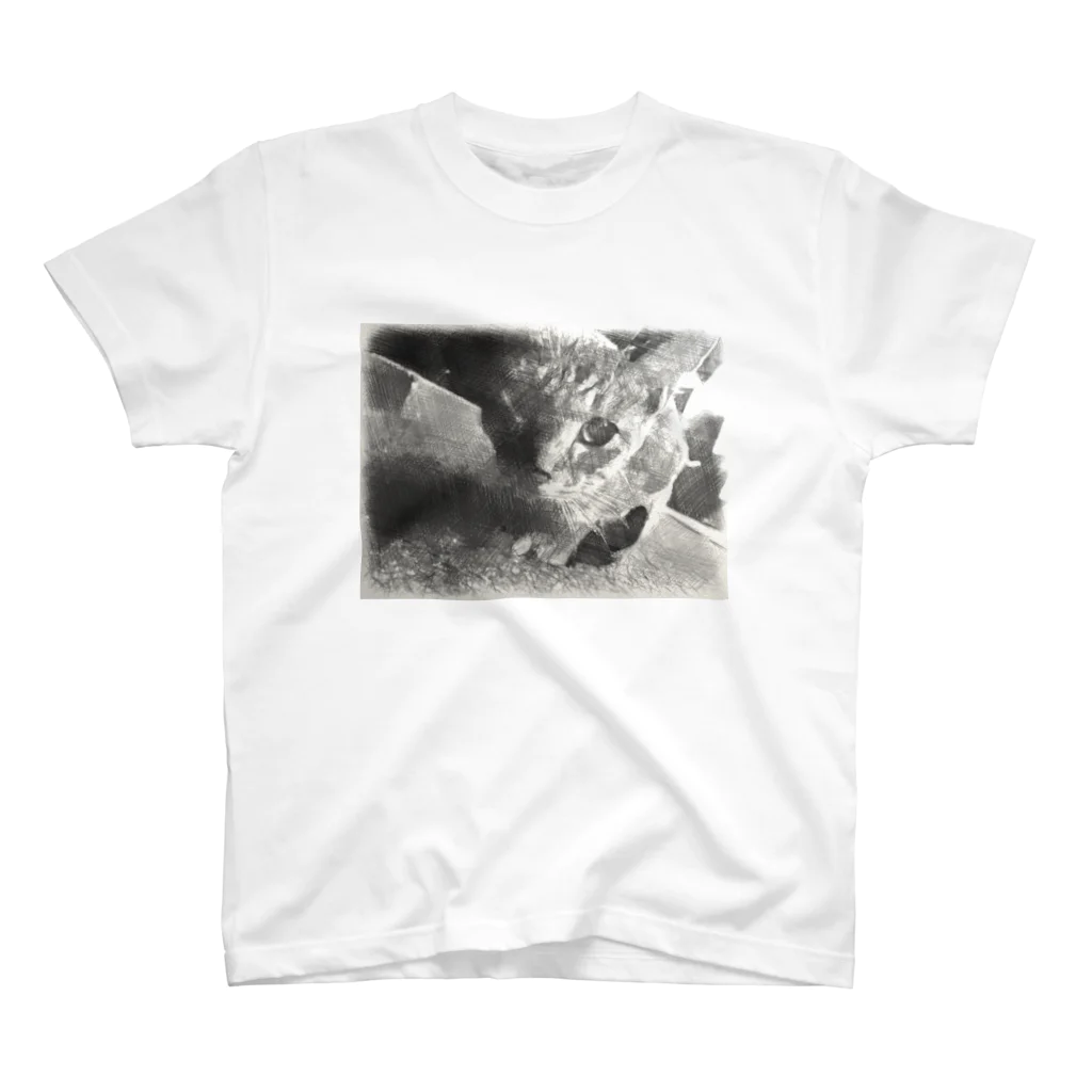 Haworthiaの猫だよ Regular Fit T-Shirt