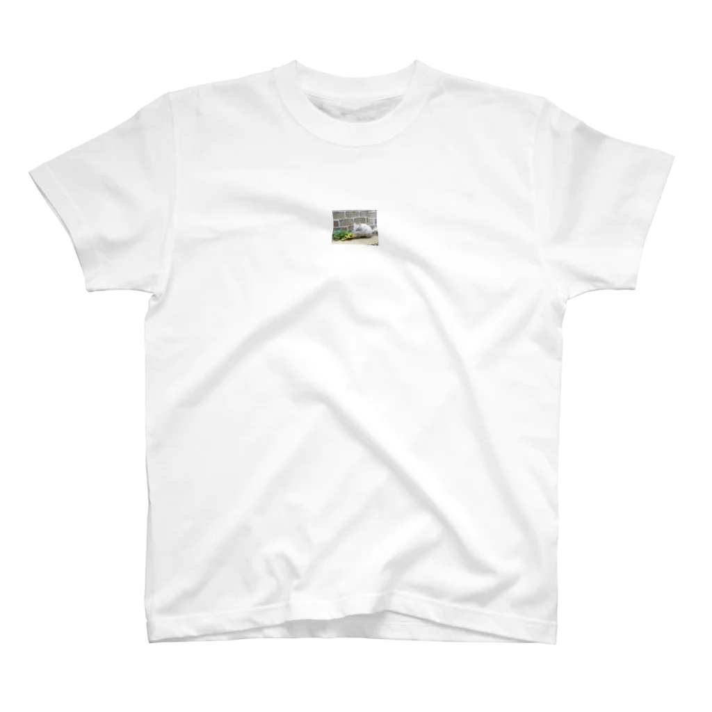 Milkoftheguineapigのチンチラのradar君 Regular Fit T-Shirt