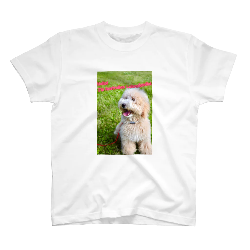 ルナのAustralian　Labradoodle@RUNA スタンダードTシャツ