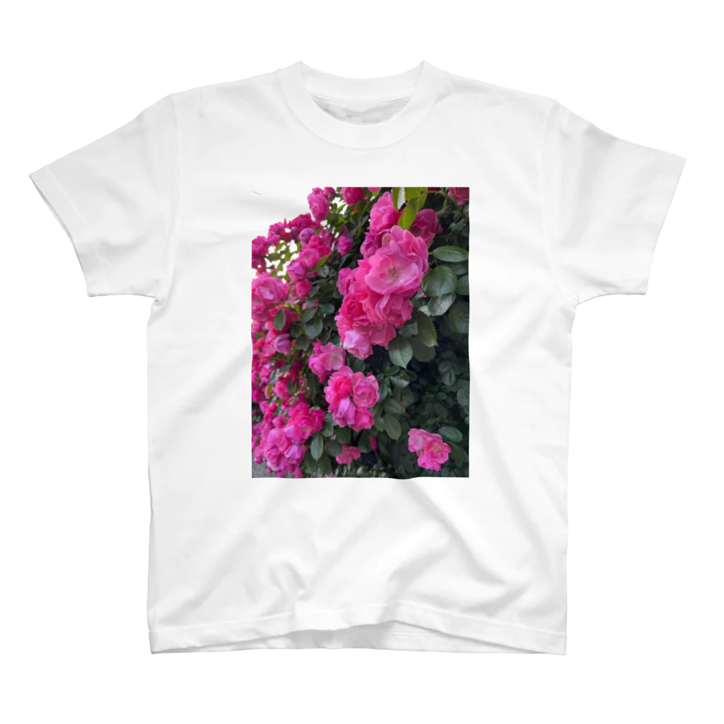 sumidagawaの薔薇の壁 Regular Fit T-Shirt