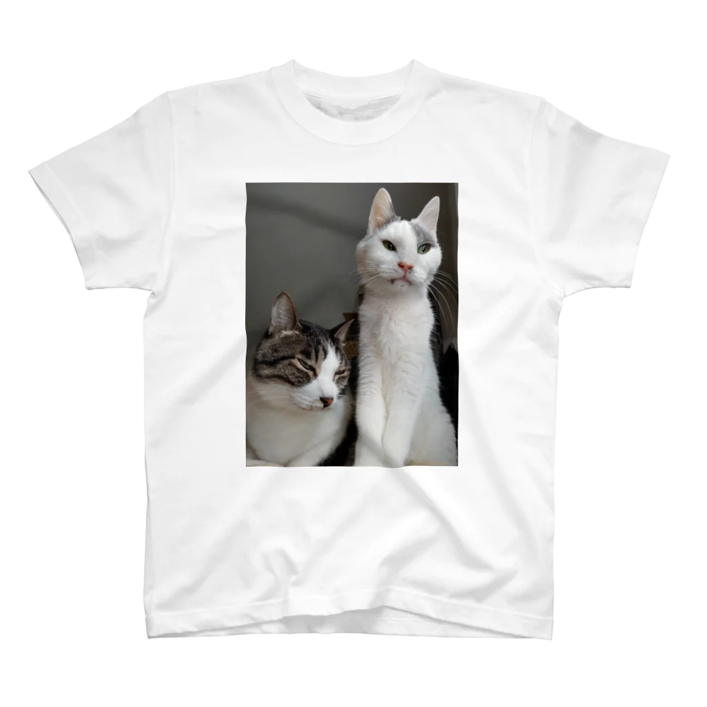 すけぇちよ（すけにゃんぼう）のうちの子は最高猫 スタンダードTシャツ