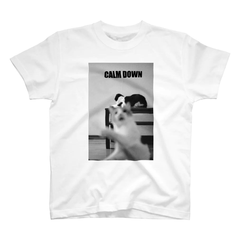 へるのCALM DOWN Regular Fit T-Shirt