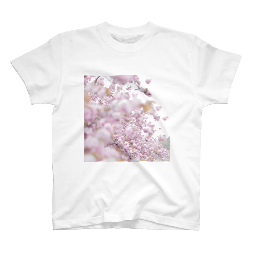 MASIA-AIRLINEのthe last spring. スタンダードTシャツ