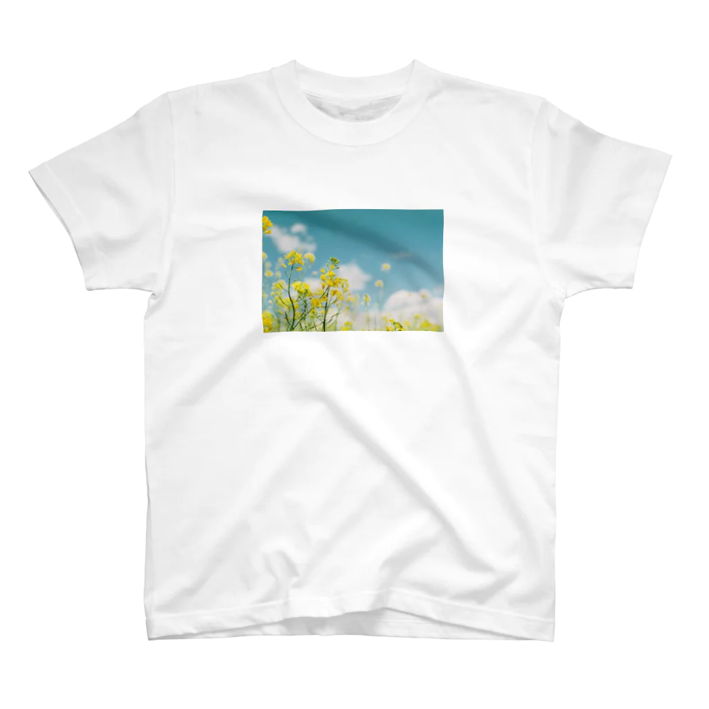 mofufu picturesのRape blossoms Regular Fit T-Shirt