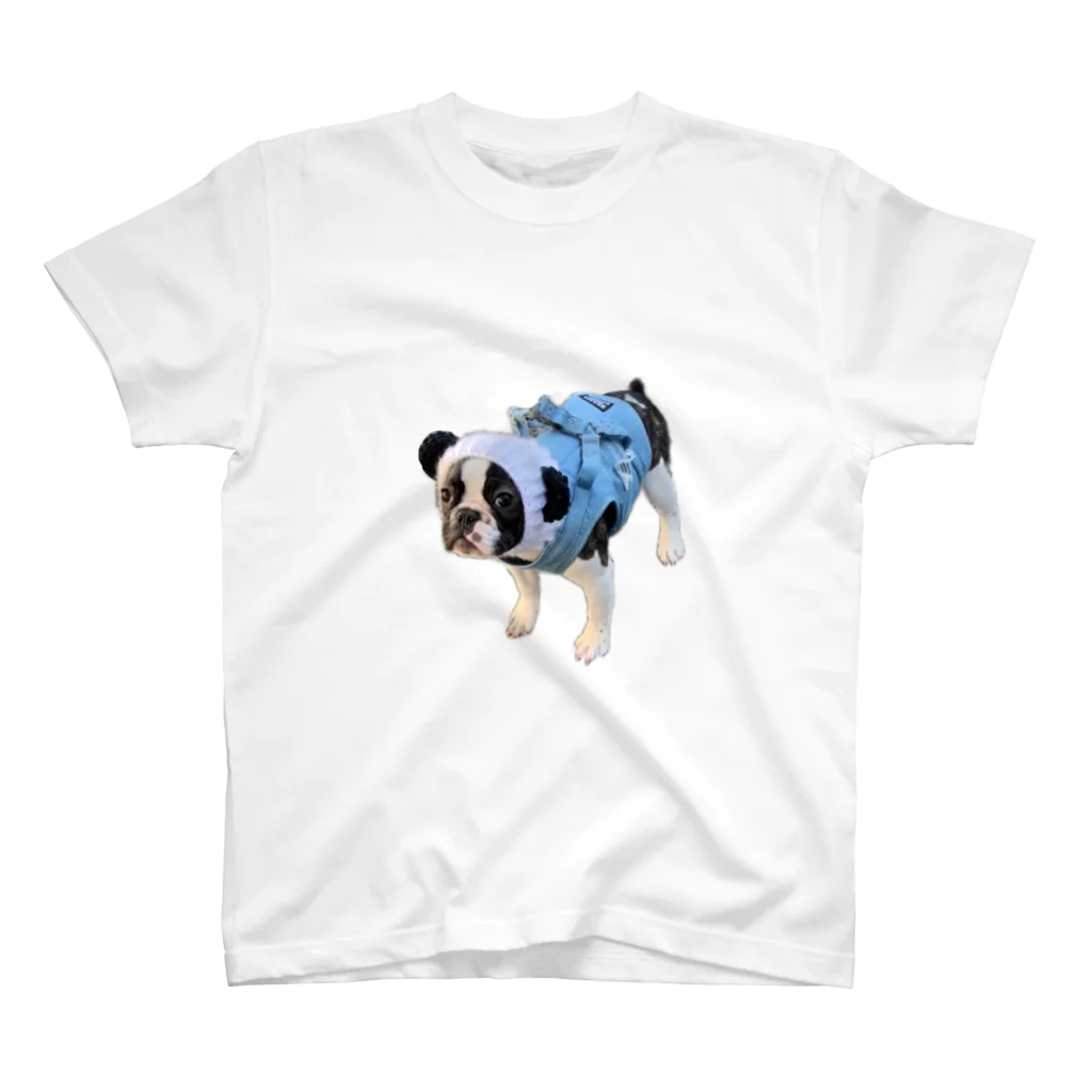 buhibuhi🐶のブヒパンダ🐼 スタンダードTシャツ