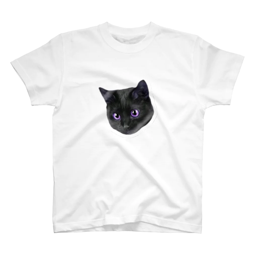 間歇性外斜視のねこ Regular Fit T-Shirt