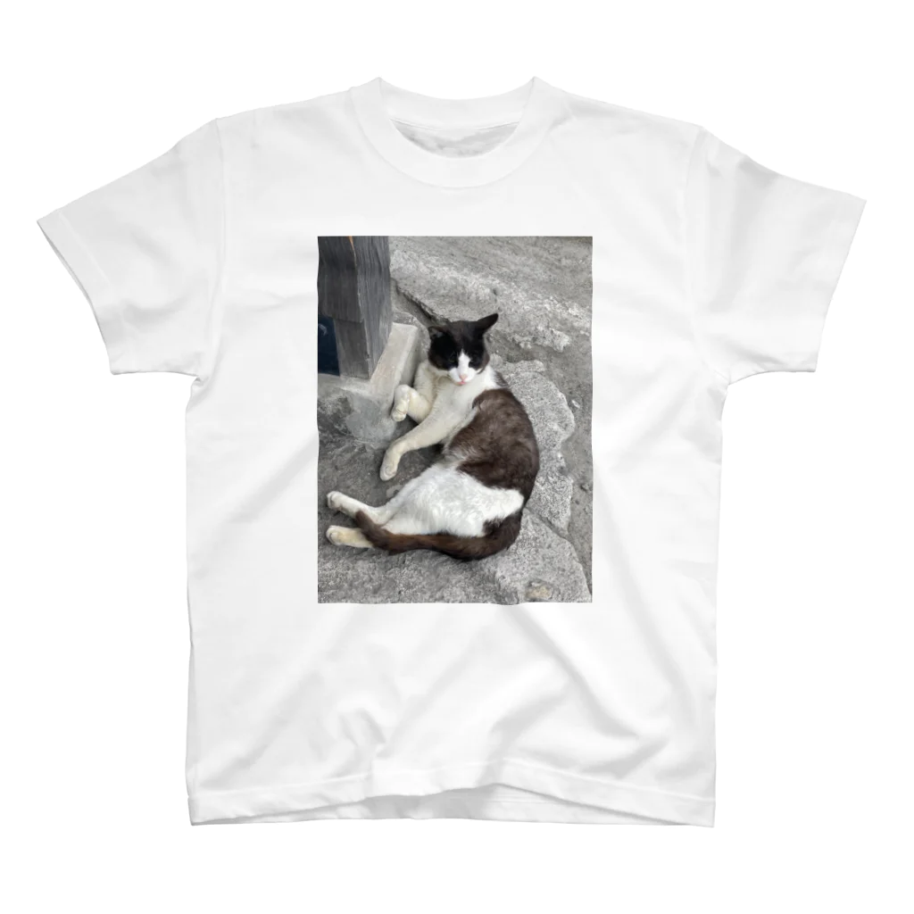 ぶちゃ猫・茶々丸オフィシャルショップの駅にいたにゃんこかわいいね スタンダードTシャツ