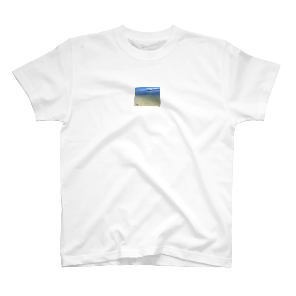 AKIMI-SAの夏の思い出 Regular Fit T-Shirt