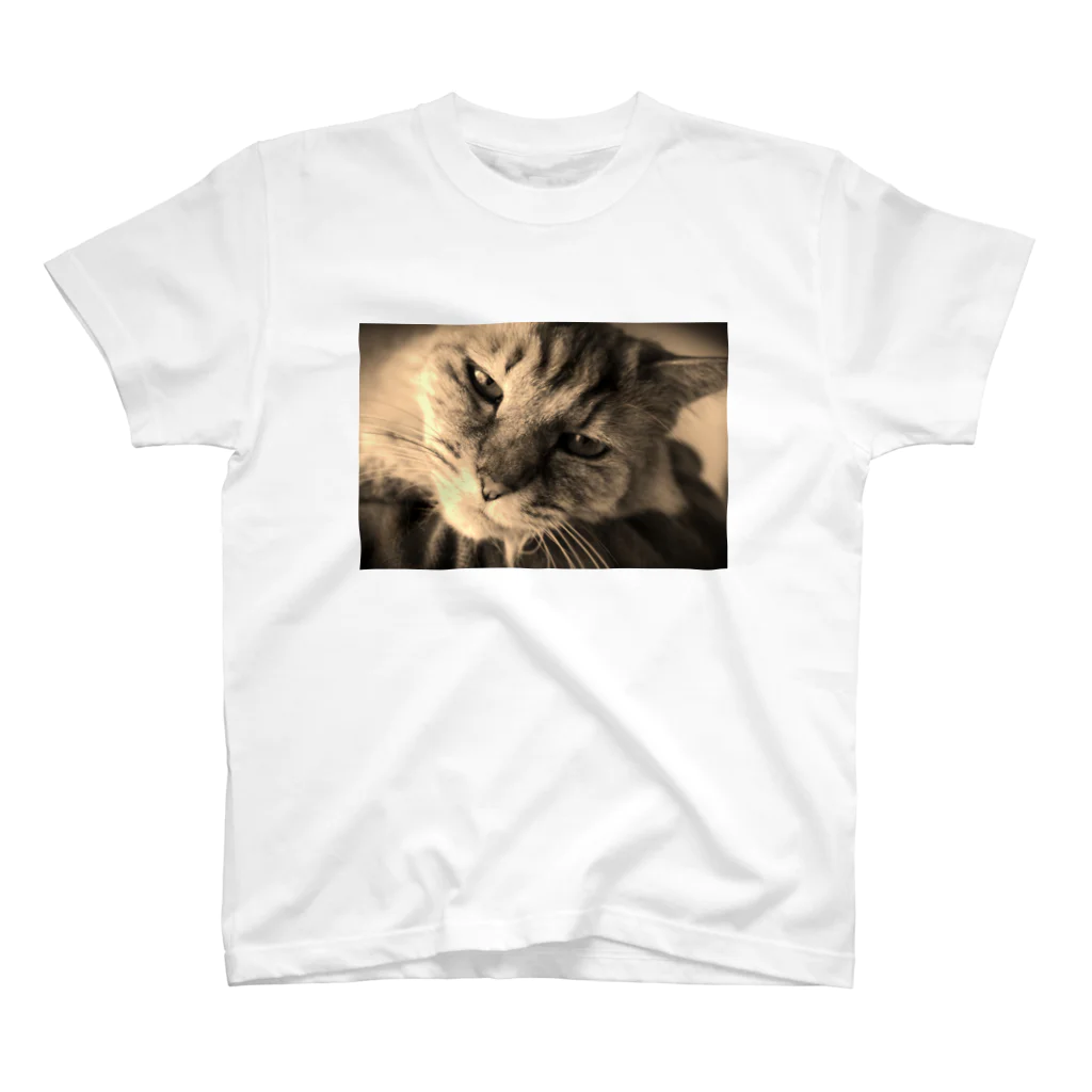 kurodoteのあまえんぼうの猫のチー スタンダードTシャツ