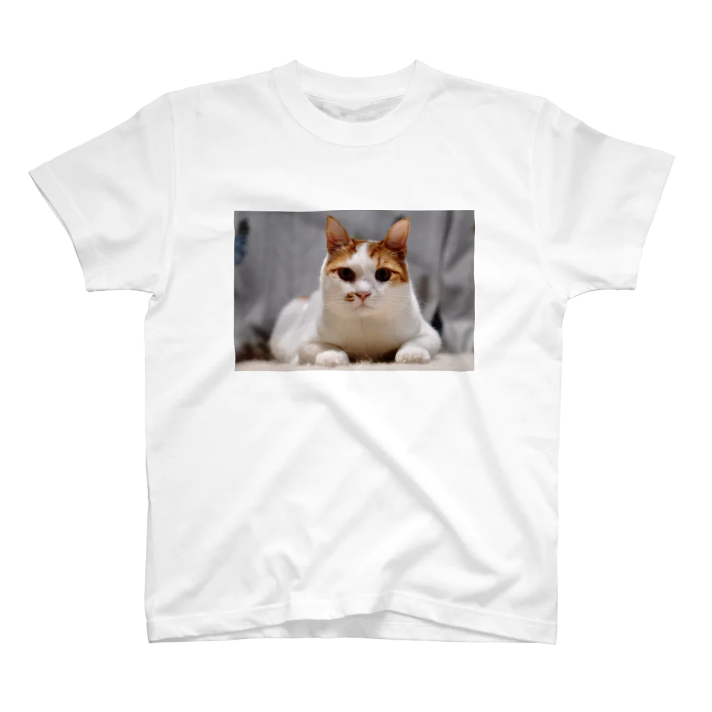 こななのねこたくん Regular Fit T-Shirt