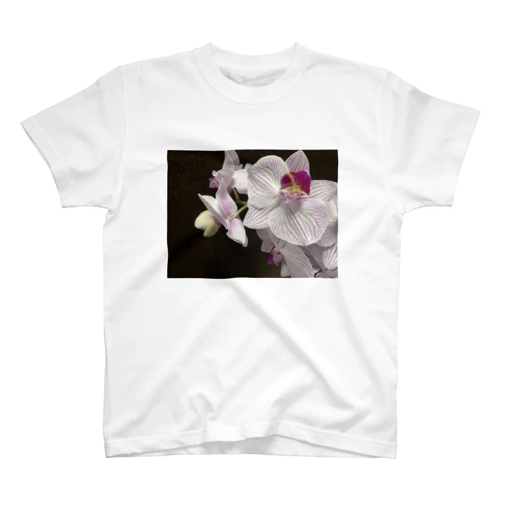 カヌレのお店の花　2 Regular Fit T-Shirt