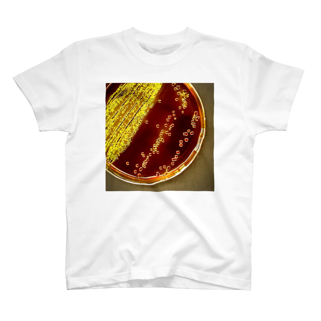 かぼす(BOSS)のColiform bacteria ～EMB agar～ スタンダードTシャツ