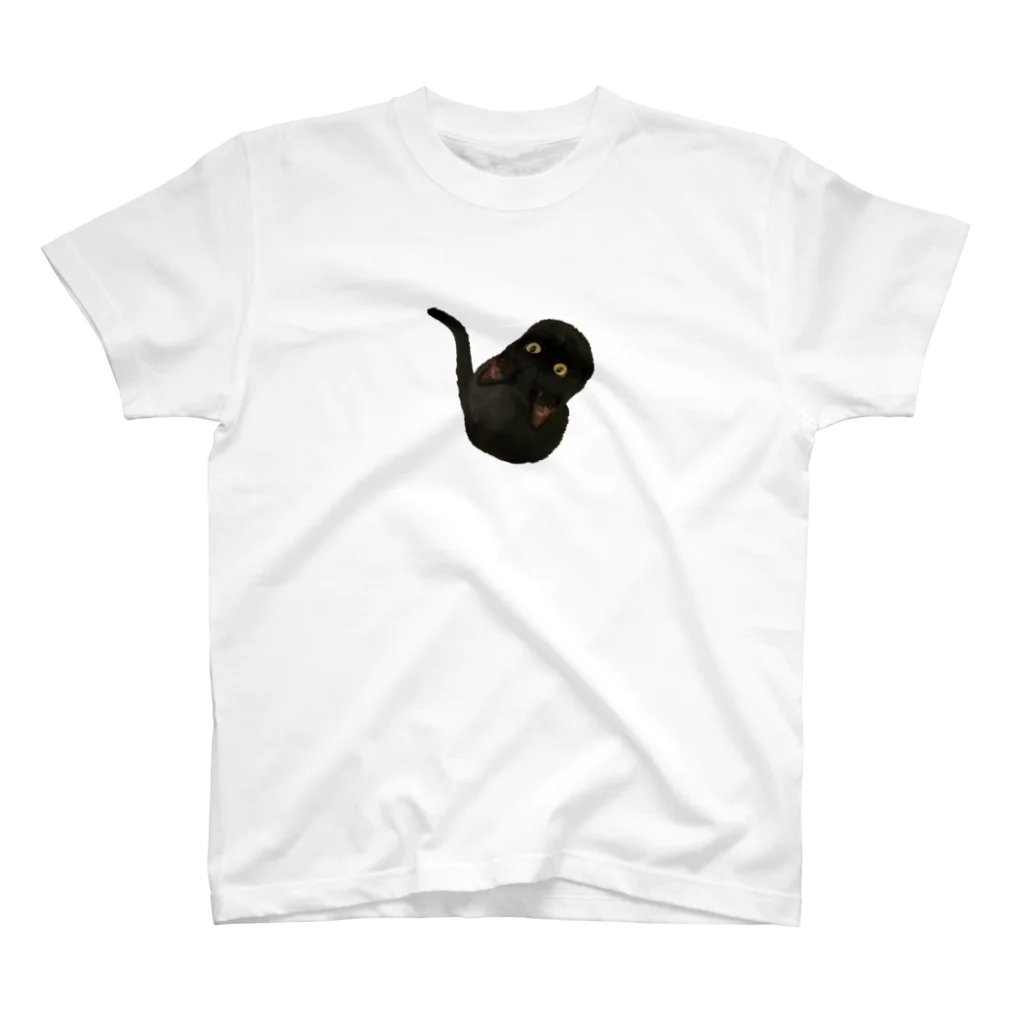 黒猫Onlyの黒猫 スタンダードTシャツ