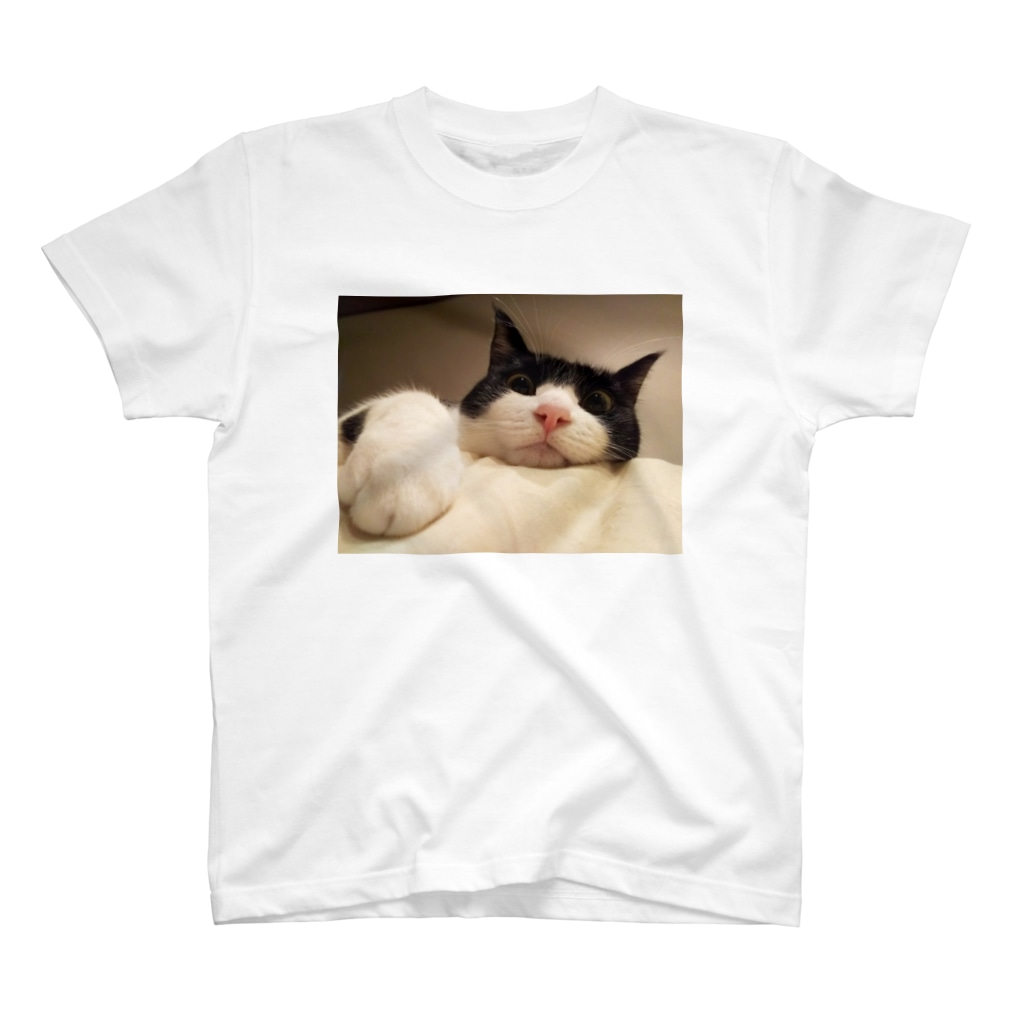 モコネコSHOPの白黒ハチワレ猫 カラーver. Regular Fit T-Shirt