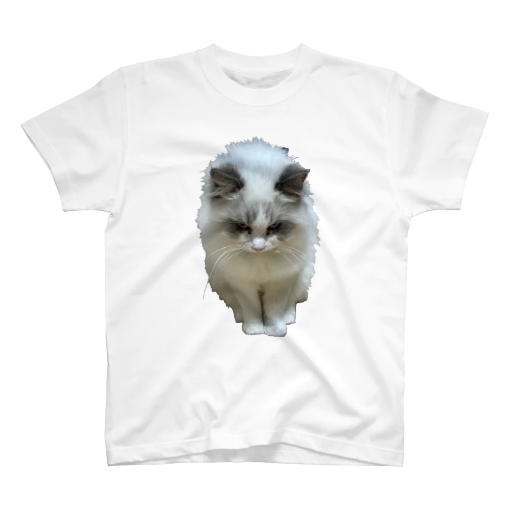 ぱわー!の飼い猫のグッズ4 Regular Fit T-Shirt