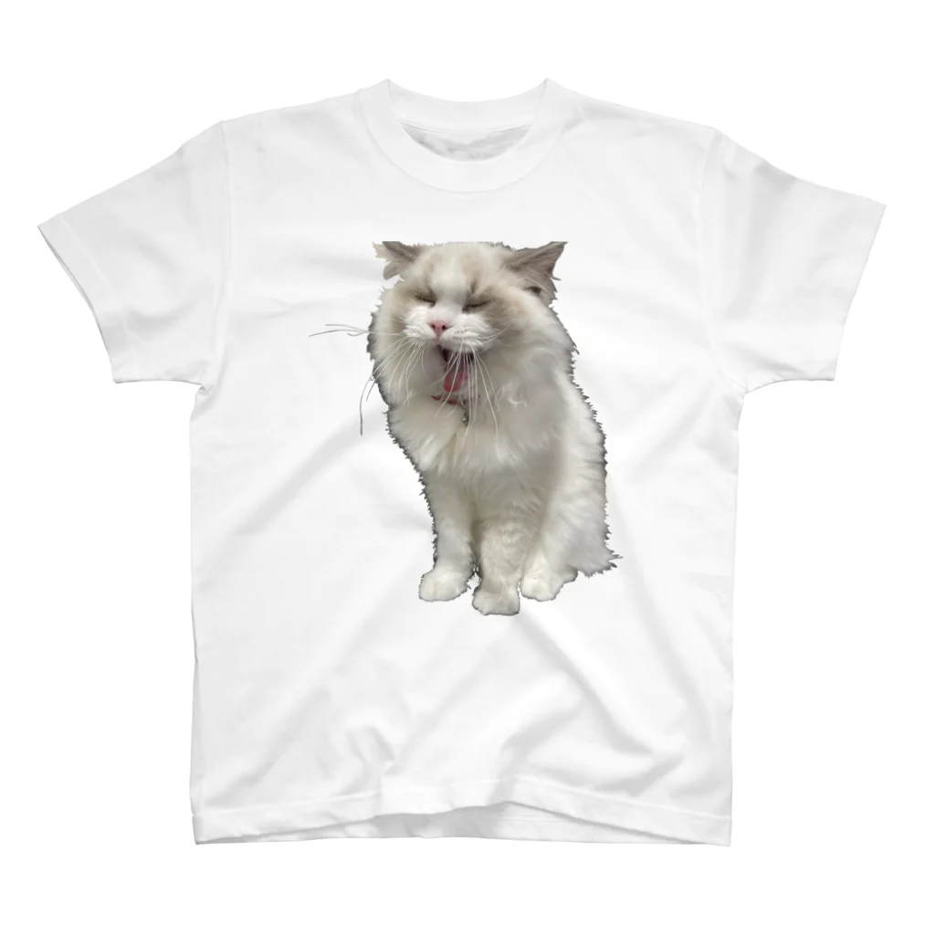 ぱわー!の飼い猫のグッズ5 Regular Fit T-Shirt