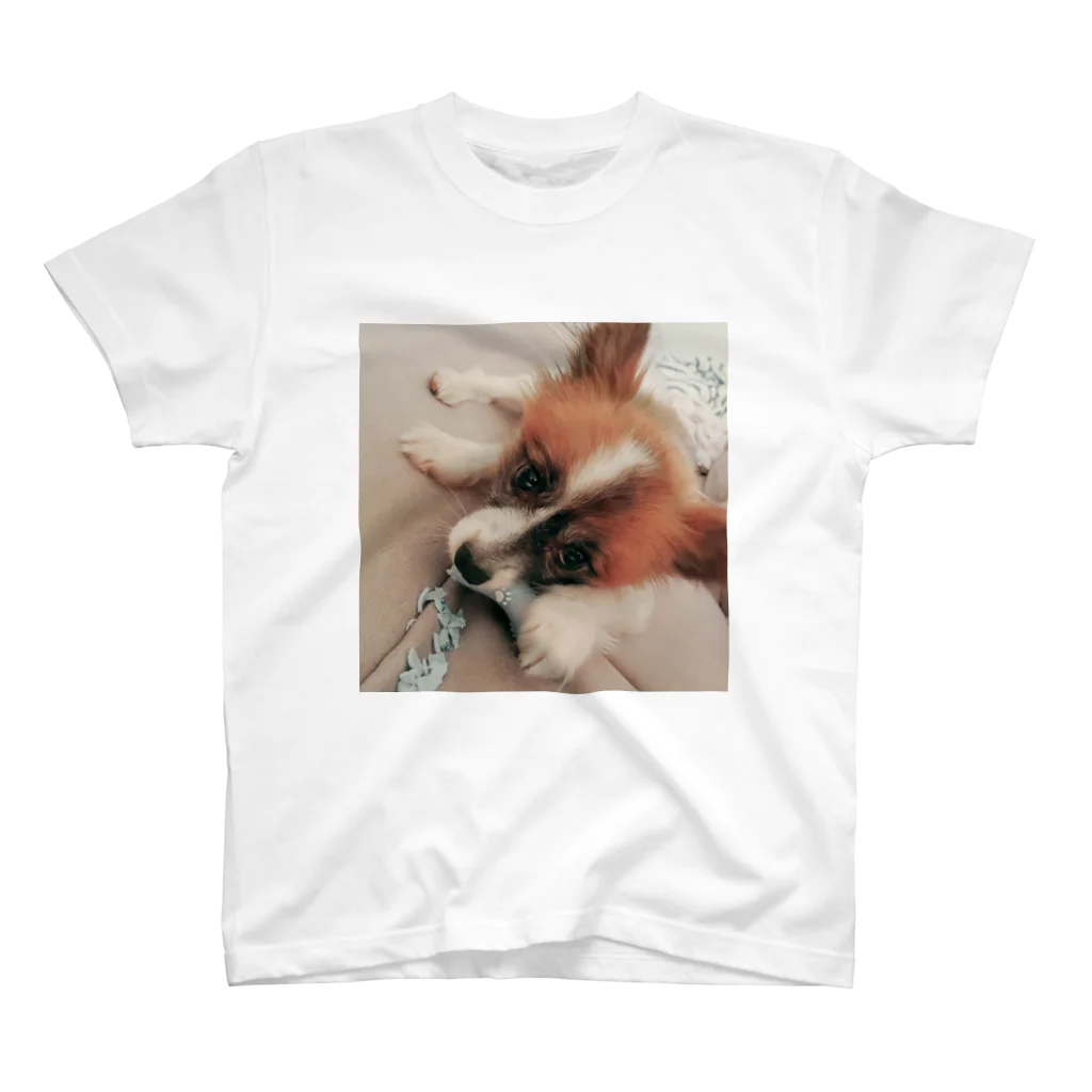 夜呑ノラ🎨🦊🥂のぽんたくん Regular Fit T-Shirt