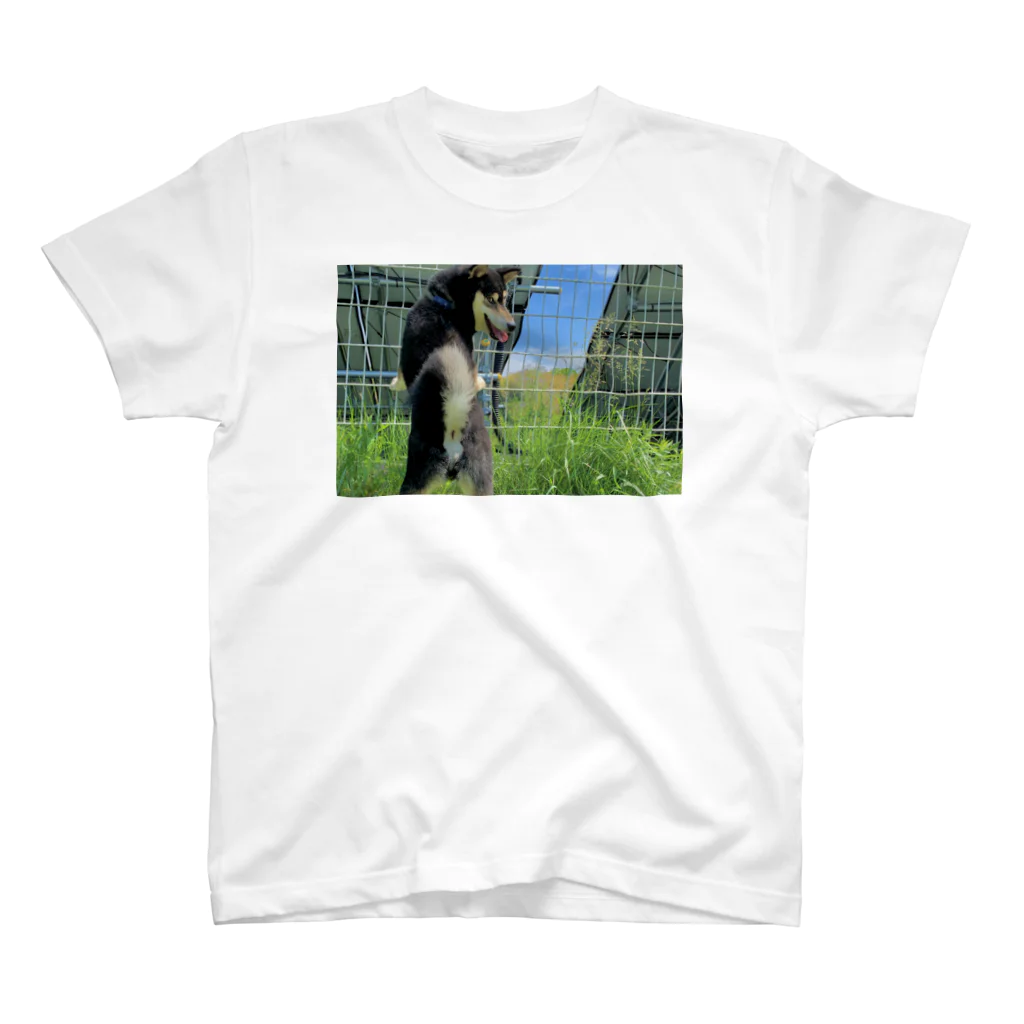 柴犬と柴犬の初夏の柴犬(両面) Regular Fit T-Shirt