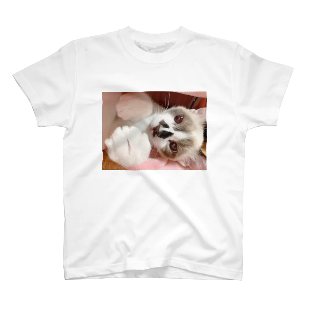 猫のぶんたshopの愉快な仲間たち (茶々) Regular Fit T-Shirt