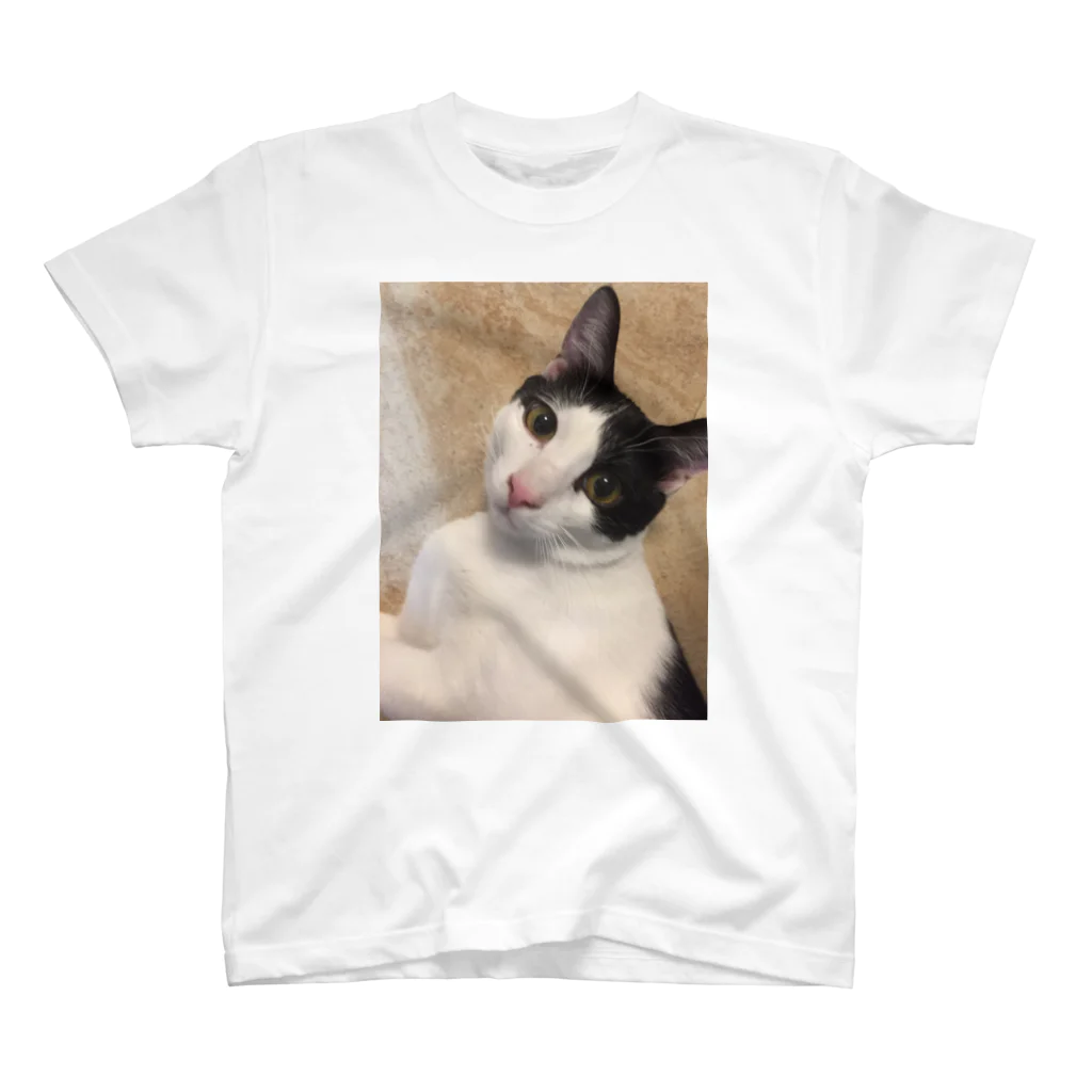 猫好きのネコ スタンダードTシャツ