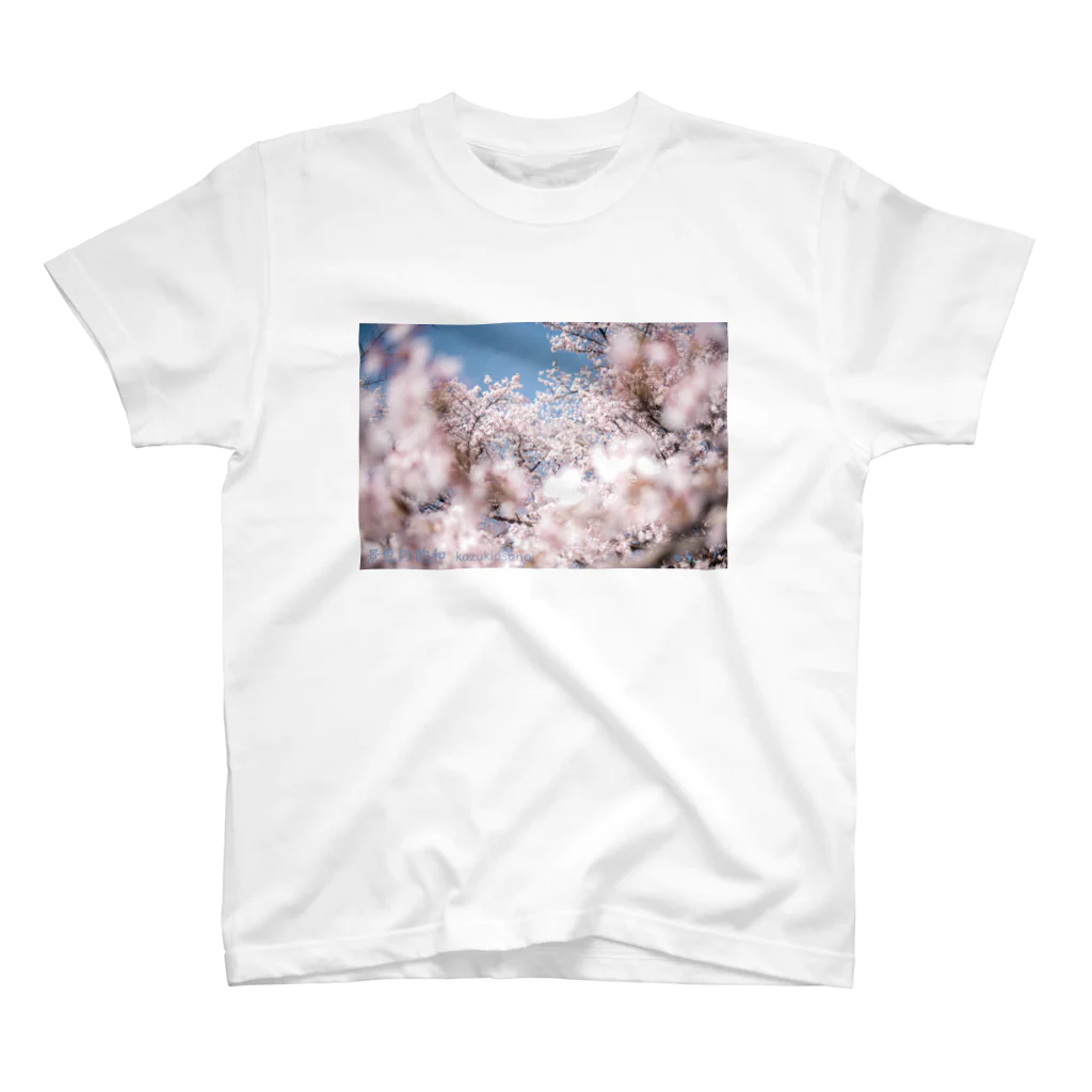 はちみつの海のsakura スタンダードTシャツ