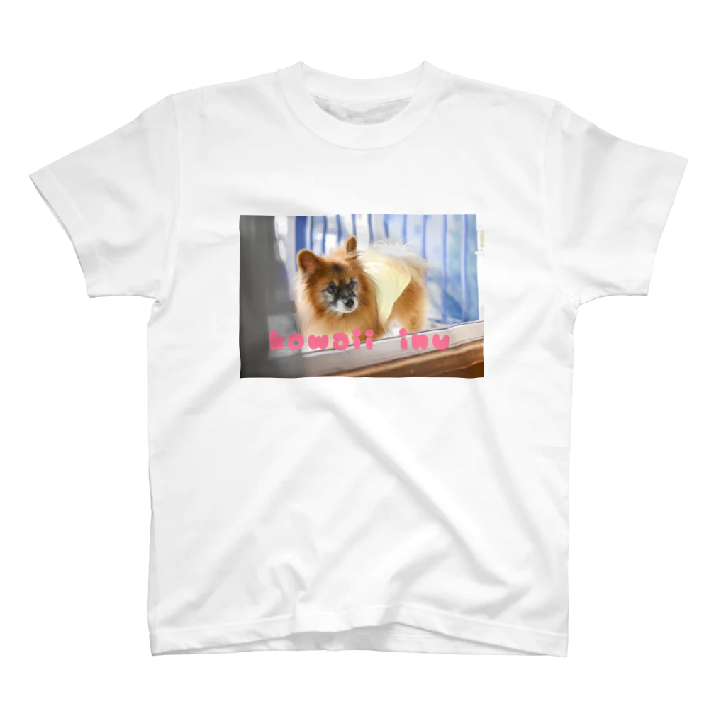 はちみつの海のkawaii inu スタンダードTシャツ