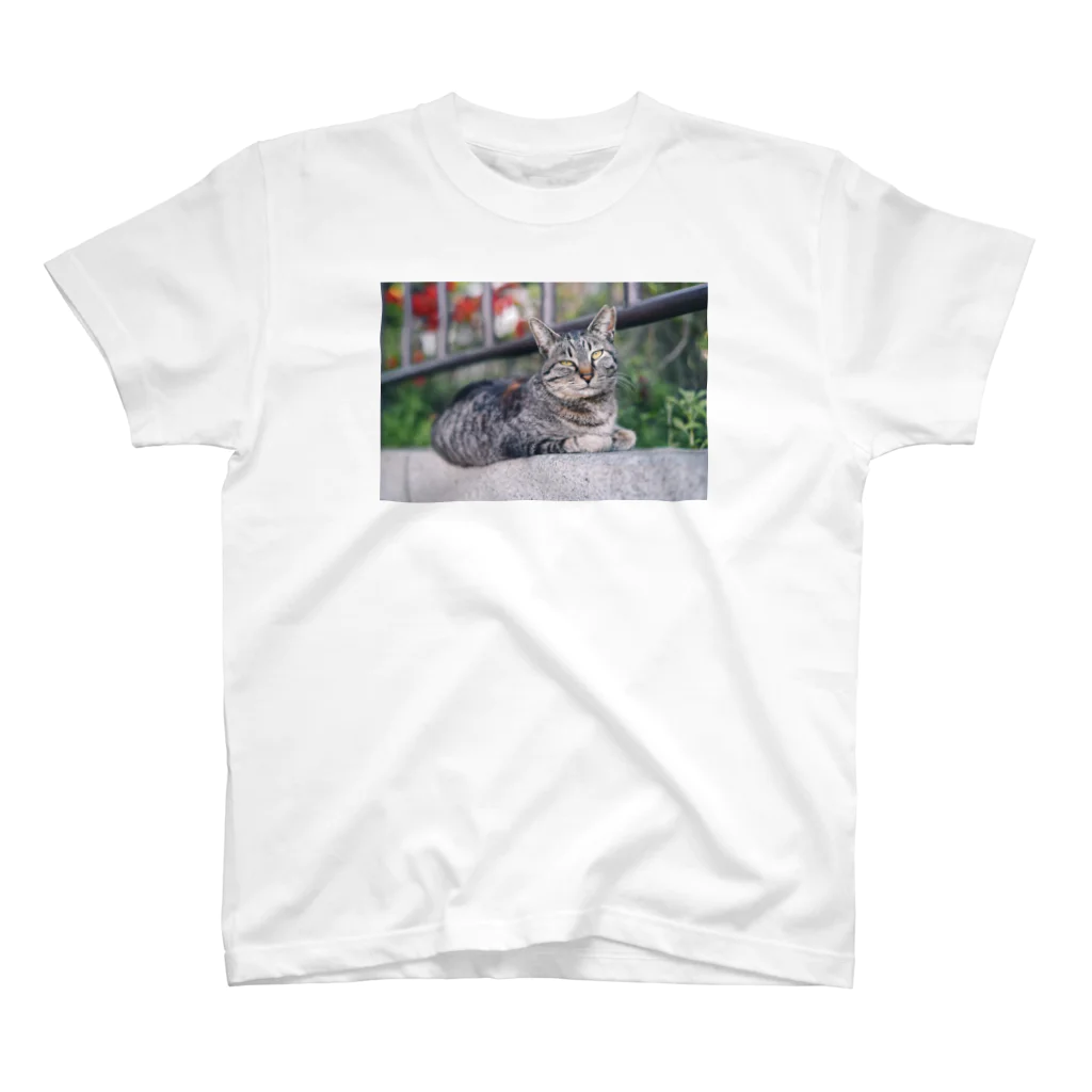 mya-wooの猫ちゃんシリーズ1 Regular Fit T-Shirt