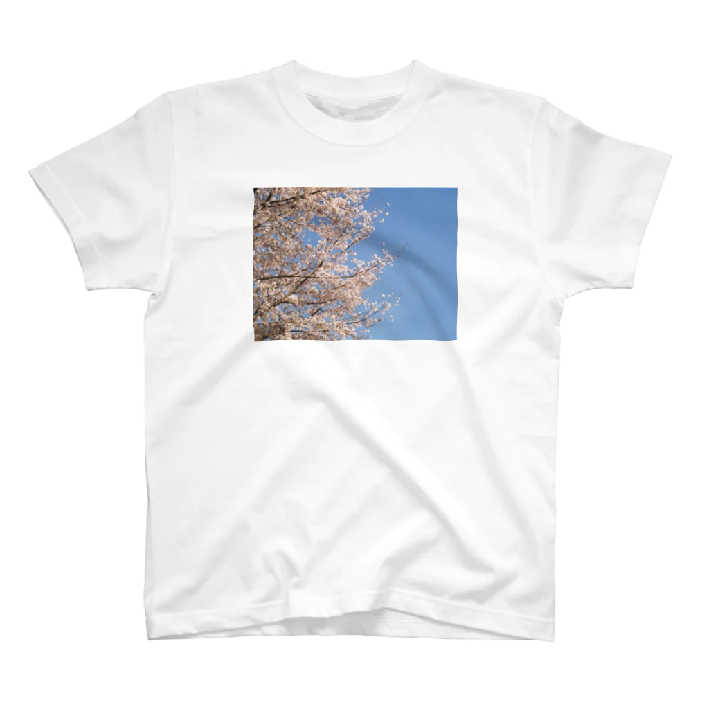 空と花とフィルムのあの日の桜 スタンダードTシャツ