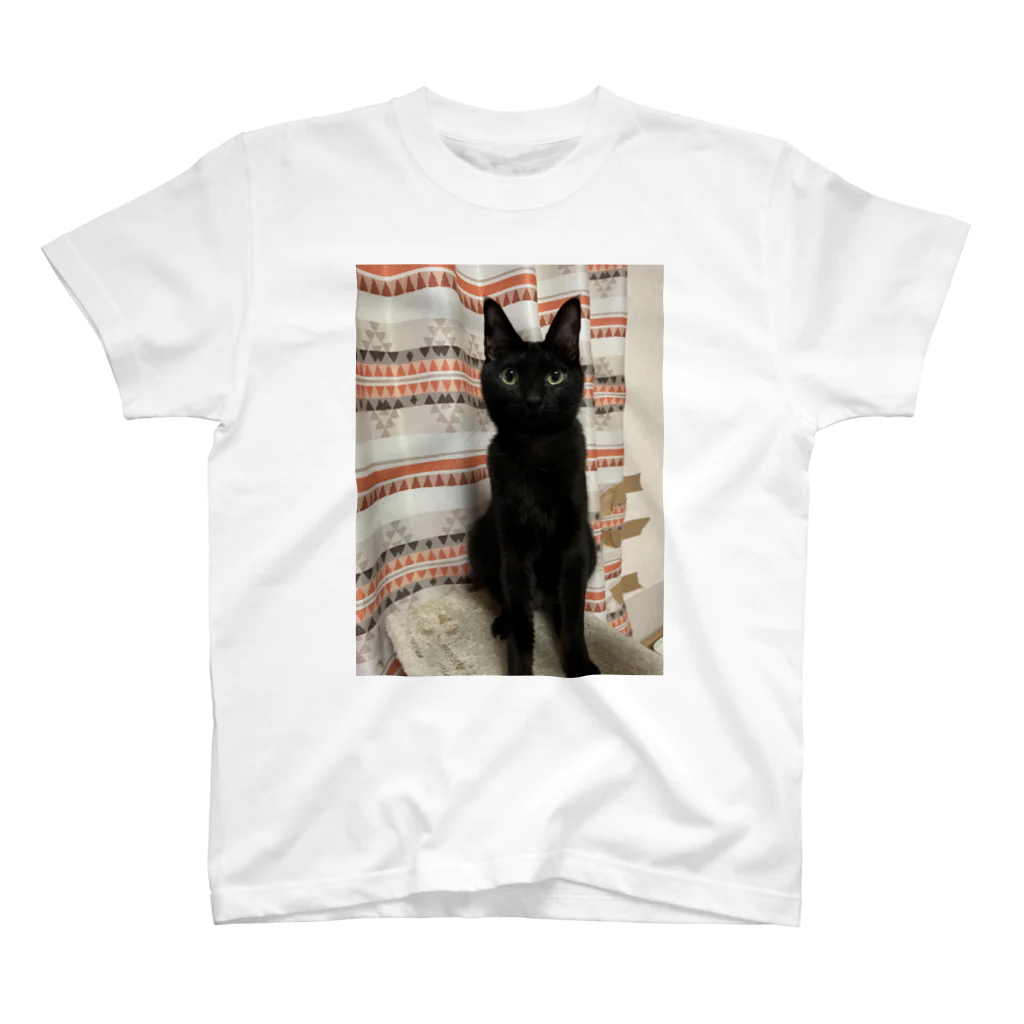 キキの黒猫ショップの黒ネコちゃん Regular Fit T-Shirt