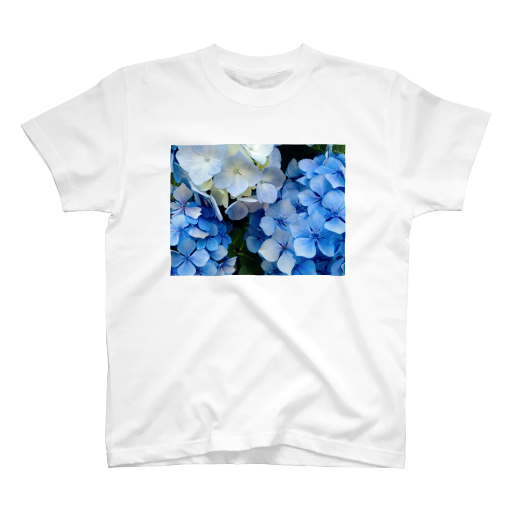 swan-alpmの紫陽花 スタンダードTシャツ