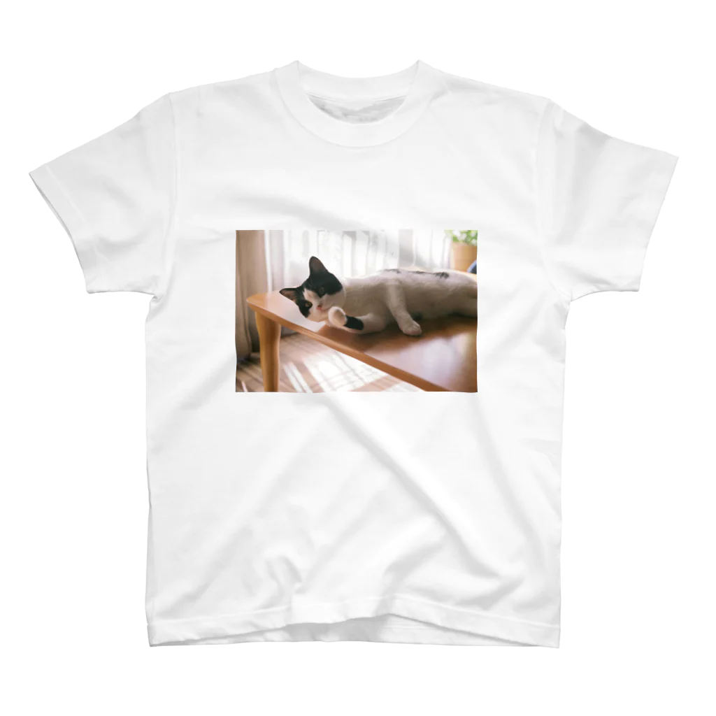 かいの猫光の中に スタンダードTシャツ