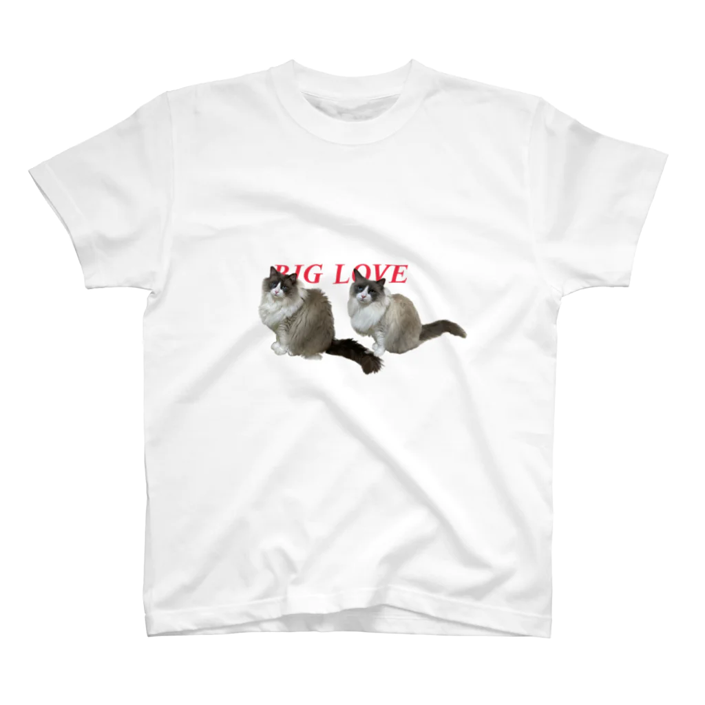 ハワワのBIGLOVE Regular Fit T-Shirt