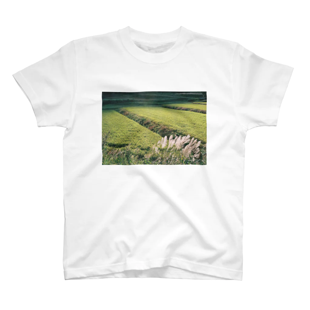 フィルムカメラのある生活の田んぼのある風景 スタンダードTシャツ