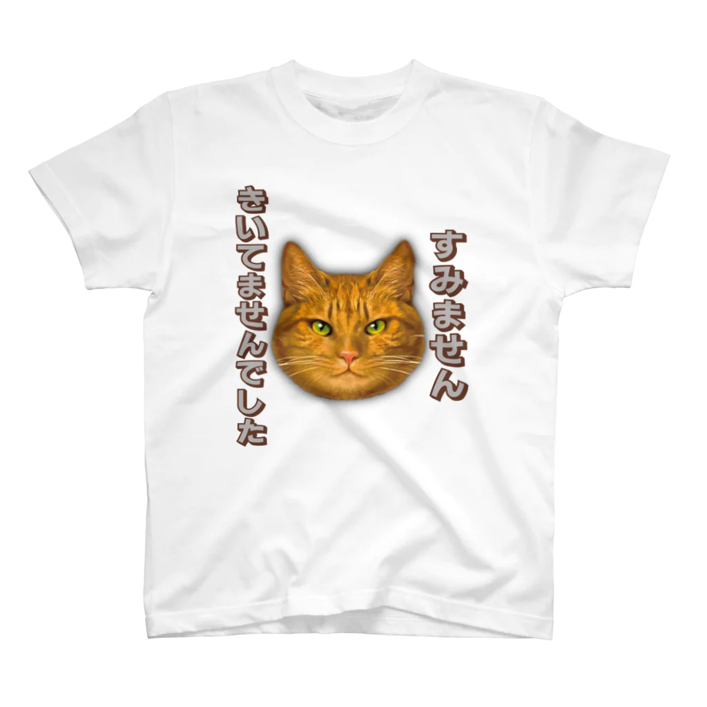 ぱてぃねす∞しょっぷのすみません聞いてませんでしたTシャツ スタンダードTシャツ