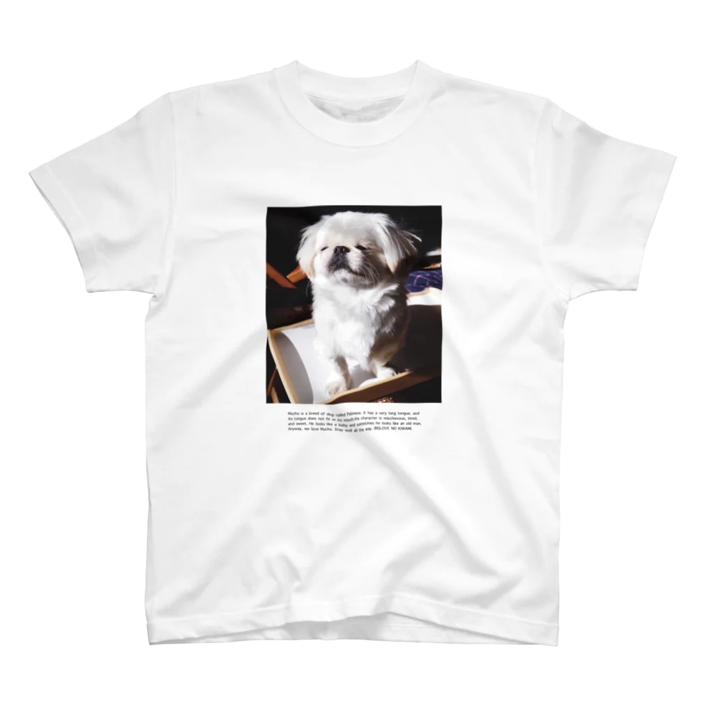 𝐿𝑂𝑉𝐸𝑌𝑂𝑈の朝6時の犬 スタンダードTシャツ